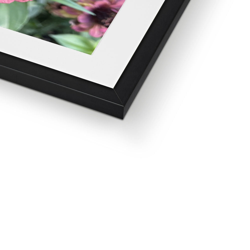 The Zinnia Framed & Mounted Print